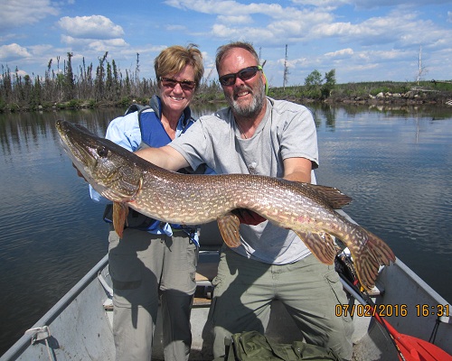 Northern Pike Fly Fishing - Trophy Northern Pike Fishing - Manitoba Fishing  Lodge